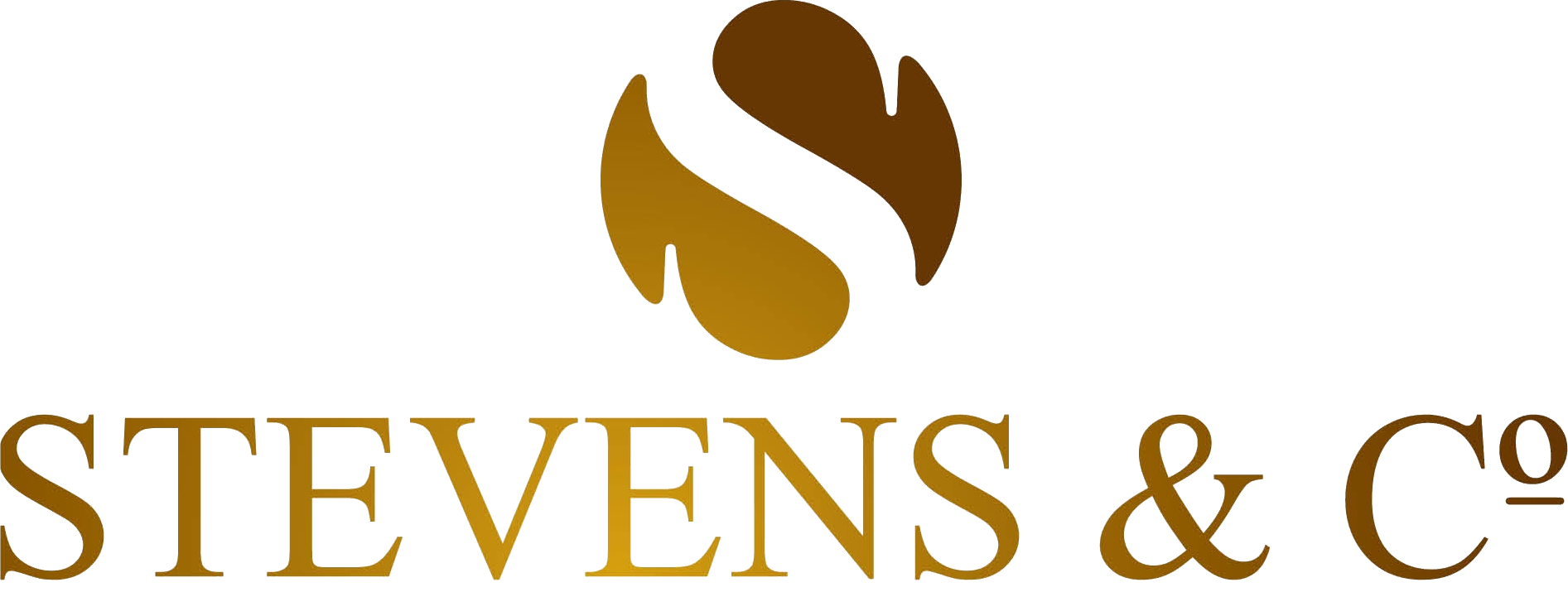 Logo Stevens Hout