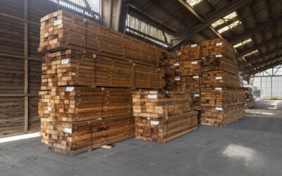 EUDR hout